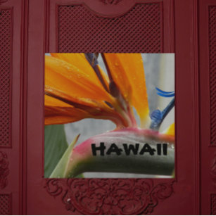 Art Mural En Acrylique Oiseau du Paradis Plante de Hawaï
