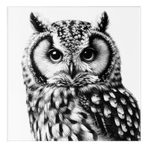 OWL Portrait 10x10" Acrylique Art Imprimer encre n