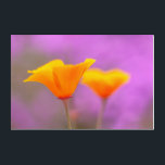 Art Mural En Acrylique Poppies de Californie<br><div class="desc">Près des fleurs de coquelicot de Californie contre l'arrière - plan rose</div>