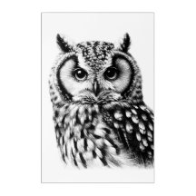 Portrait de grand hibou 24x36" Acrylique Art mural