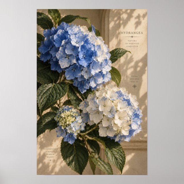 Art mural floral hydrangea bleu vintage (Devant)