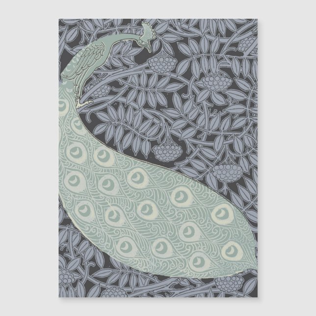 Art Nouveau Peacock Classic Vintage Bird (Devant)