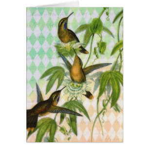 Art numérique de colibri