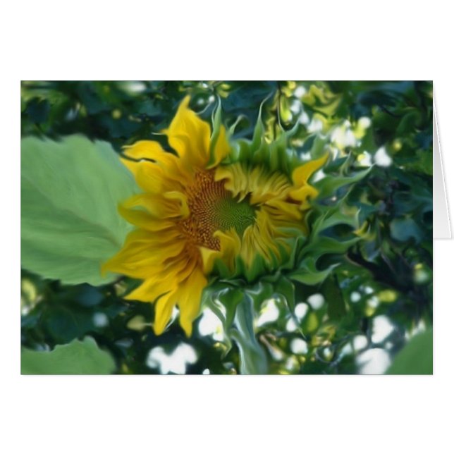 Art numérique Tournesol Ouverture dans la lumière (Devant Horizontal)
