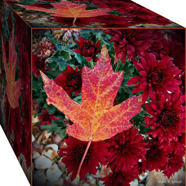 Art photo délicieux d'automne Imprimer par Stan (Créateur téléchargé)