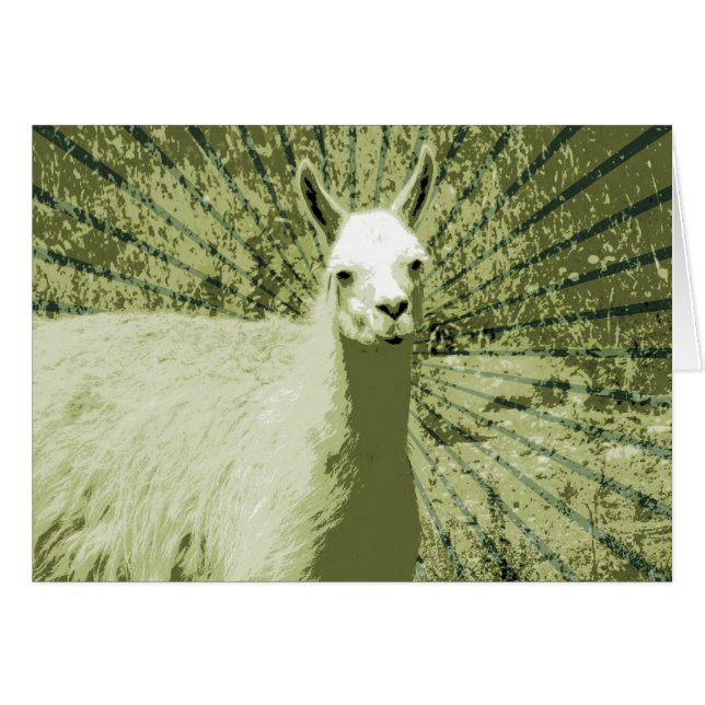 Art pop lama (Devant horizontal)