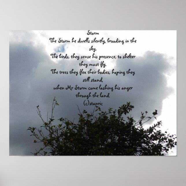 ART POSTER ET STYLE DE CONCEPTION (Devant)