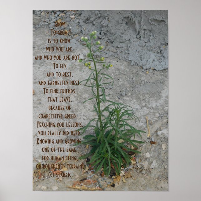 ART POSTER ET STYLE DE CONCEPTION (Devant)