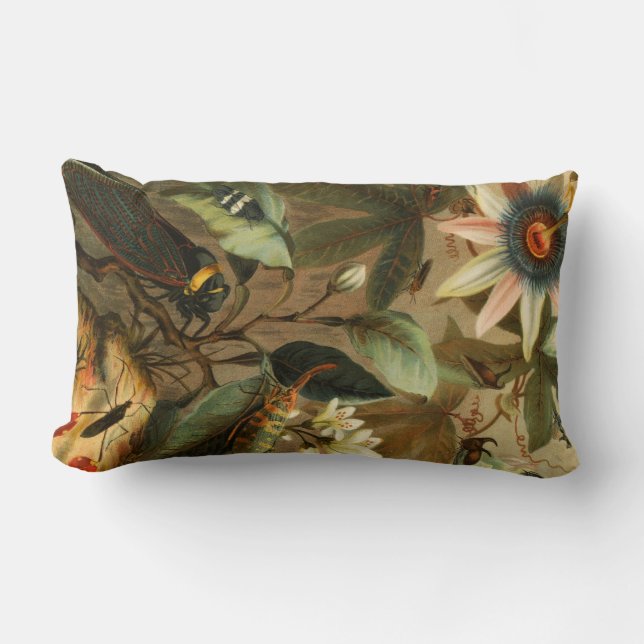 Art sauvage vintage de coussin d'insecte d'insecte (Recto)