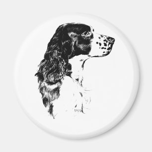 Art vintage Anglais Springer Spaniel Chien Magnet