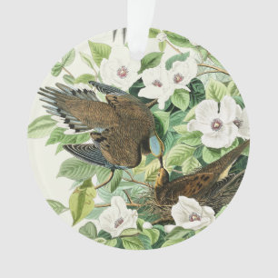 Art vintage Audubon Tourterelle triste Fleur d'ois