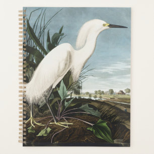 Art vintage d'Audubon représentant un héron neigeu