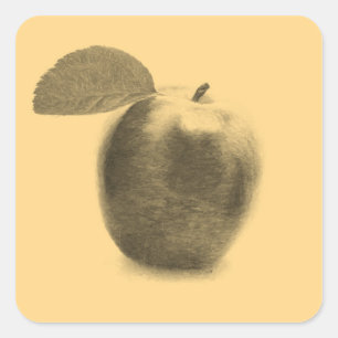 Art vintage de peinture à la pomme - Stickers