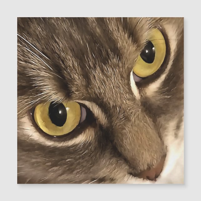 Artisan gros plan Chat Portrait Yeux et nez (Devant)
