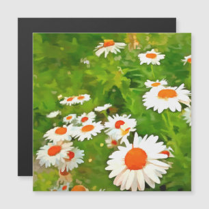 Artistic Bright and Colorful White Garden Daisies