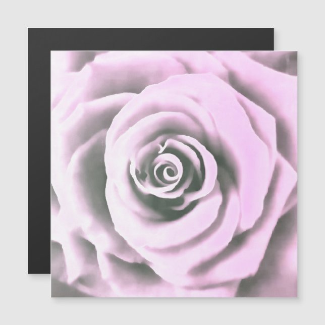 Artistic Rose rose rb (Devant / Derrière)