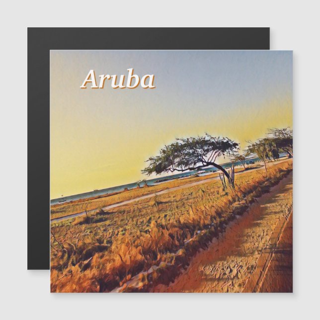 Aruba Divi Divi Trees (Devant / Derrière)