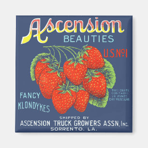 Ascension Beauty Strawberries Magnet