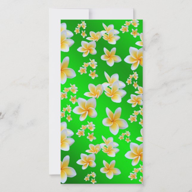 asiatique, jaune, blanc, floraison, brillant, or,  (Devant)