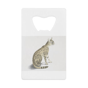 Asiatique Wildcat Joyeux Anniversaire Asiatique St