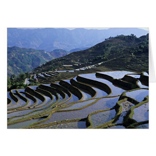 Asie, Chine, Yunnan, Yuanyang. Accidenté (Devant horizontal)