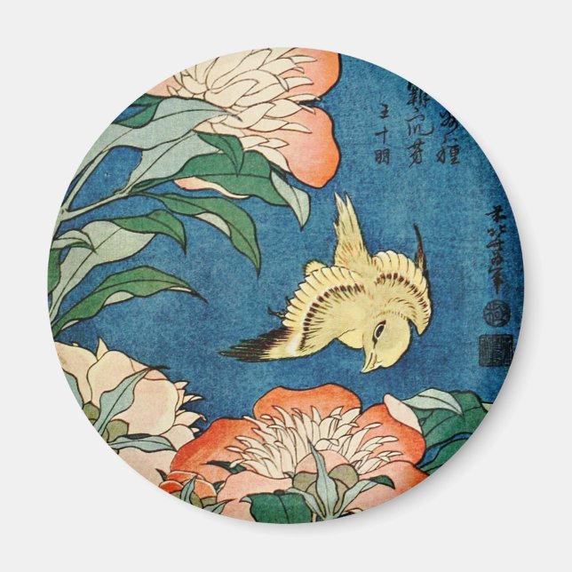 ASIE PEONIES aimant (Devant)