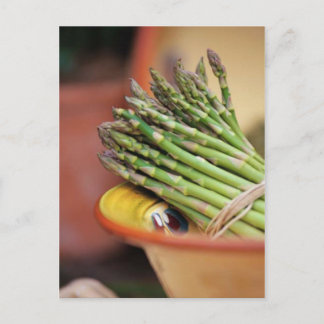 ASPARAGUS CARTE POSTALE
