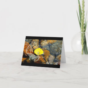 Aspen et la carte vierge de baisse de l'eau