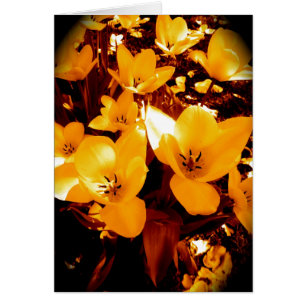 Assez en jaune
