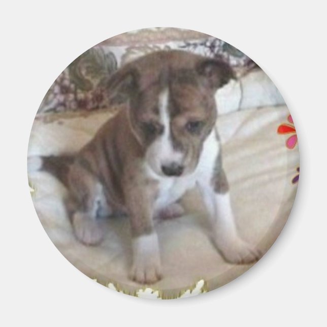 Assez mignon Magnet de la levure Basenji (Devant)