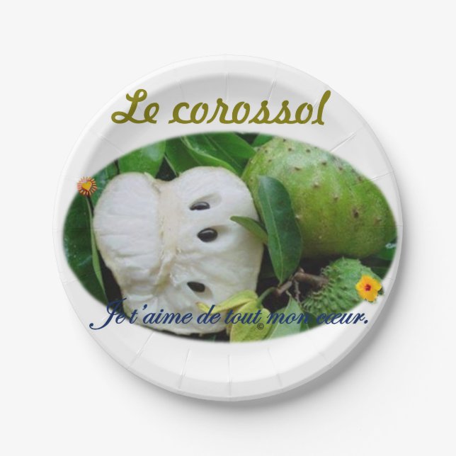 Assiette en carton (Devant)