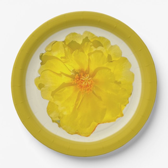 Assiette en carton (Devant)