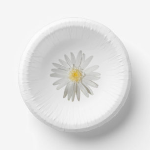 assiette en carton