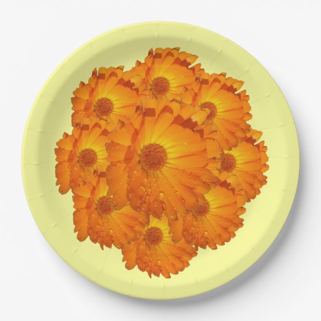 Assiette en papier - Fleurs de calendula (Devant)