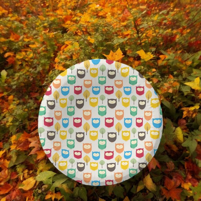 Assiette en papier hibou dessin animé multicolore (owl cartoon theme,birthday,wedding,baby shower,special occasion event paper plate party supplies)