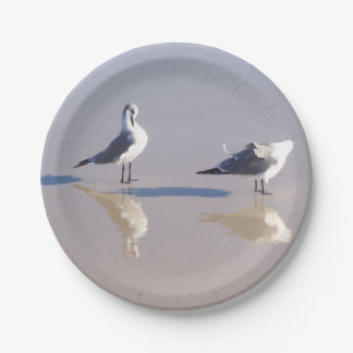 Assiette en papier Mouette venteuse