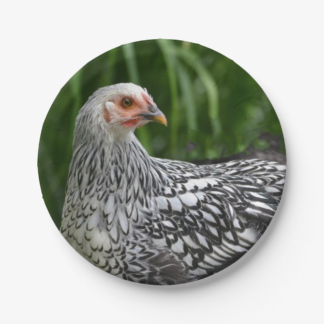 Assiette en papier Poule (Devant)