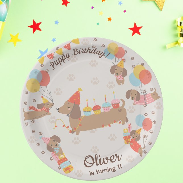 Assiette en papier pour fête d'anniversaire de chi (Créateur téléchargé)