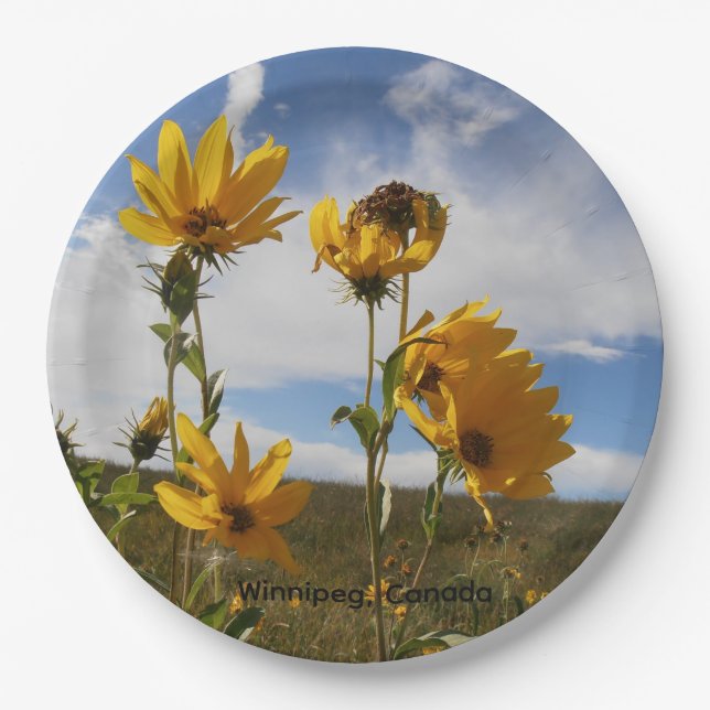 Assiette en papier ronde Prairie Sunset (Devant)