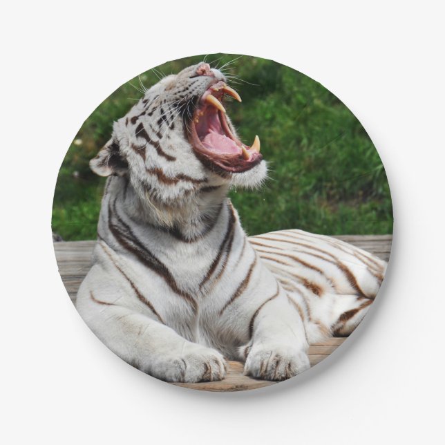 Assiette en papier tigre blanc du Bengale (Devant)
