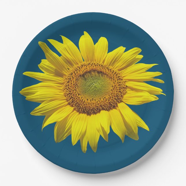 Assiette en papier tournesol simple bleu sarcelle (Devant)