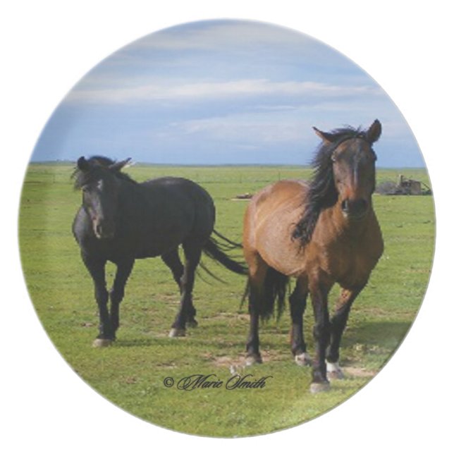 Assiette Plaque de fierté et de beauté (Devant)