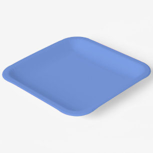 ASSIETTES EN CARTON
