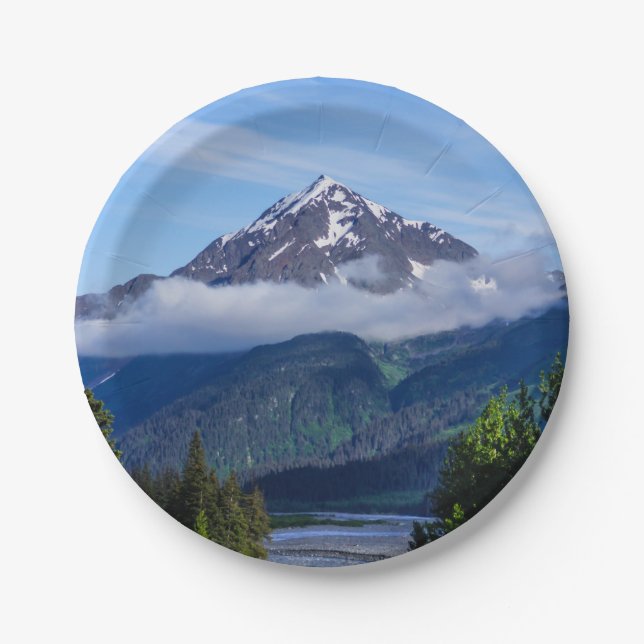 ASSIETTES EN CARTON * (Devant)