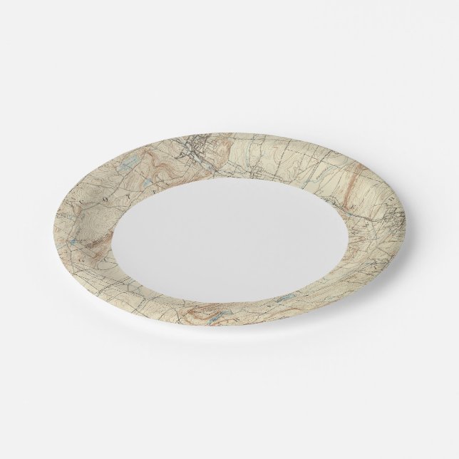 Assiettes En Carton 18 Feuille Meriden (Angle)