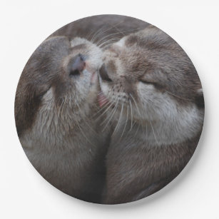 Cadeaux Loutre Calin Zazzle Fr