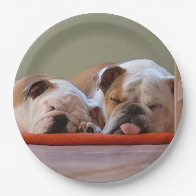 Assiettes En Carton 2 sommeil bulldogs.png (Devant)