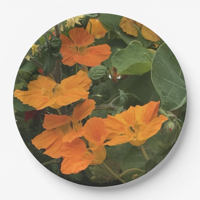 Assiettes En Carton 40e anniversaire Mariage Nasturtium alternative (Devant)