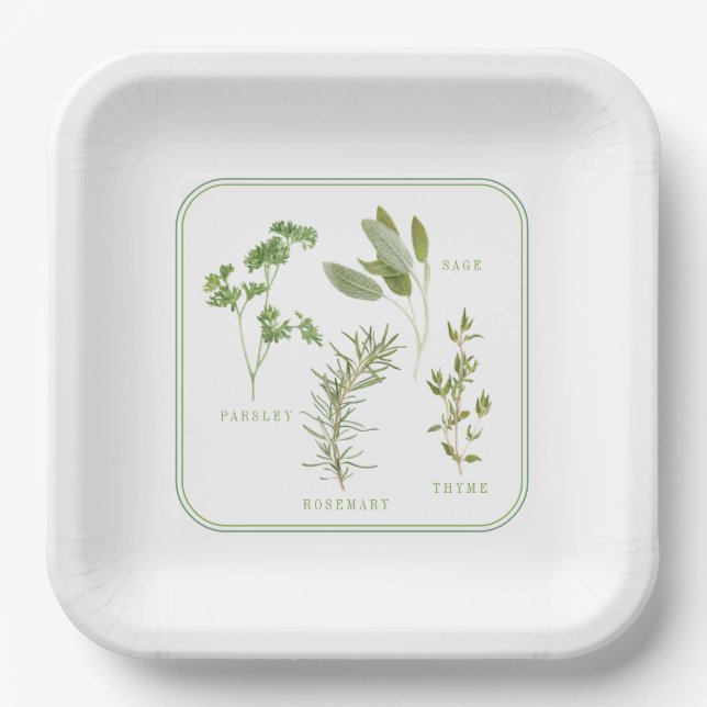Assiettes En Carton 4 HERBES FRAÎCHES Plaques papier Carrés de 9 po (Recto)