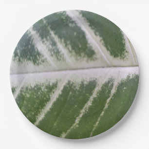 Assiettes En Carton 9 pouces Elégante feuille verte avec ligne blanche